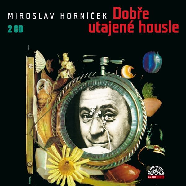 Obálka – Dobře utajené housle