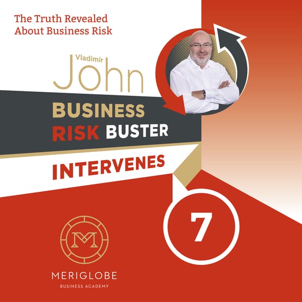 Obálka – Business Risk Buster Intervenes 7