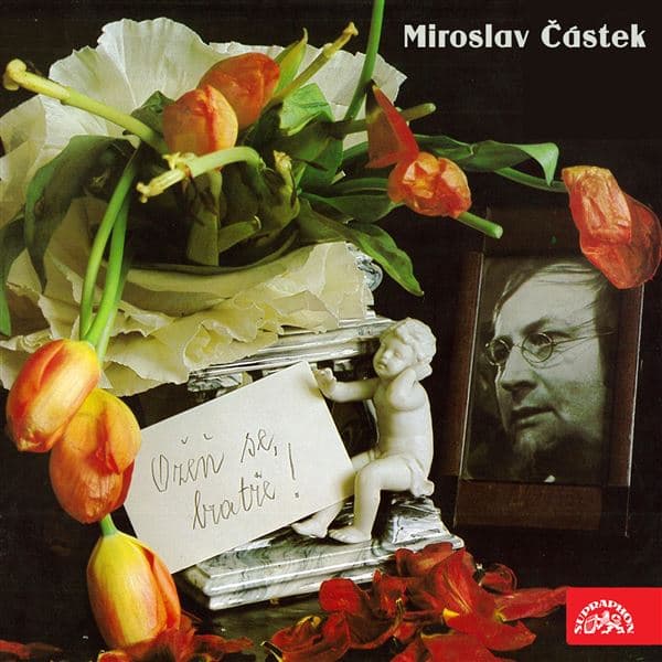 Obálka – Ožeň se, bratře