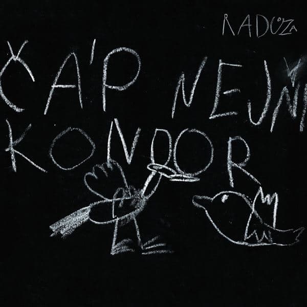 Obálka – Čáp nejni kondor