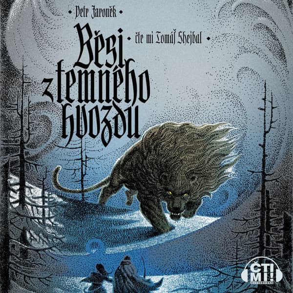 Obálka – Běsi z temného hvozdu