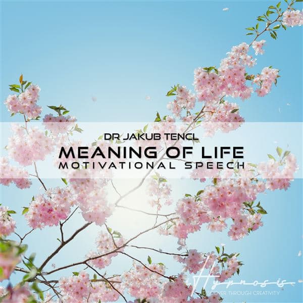 Obálka – Meaning of Life