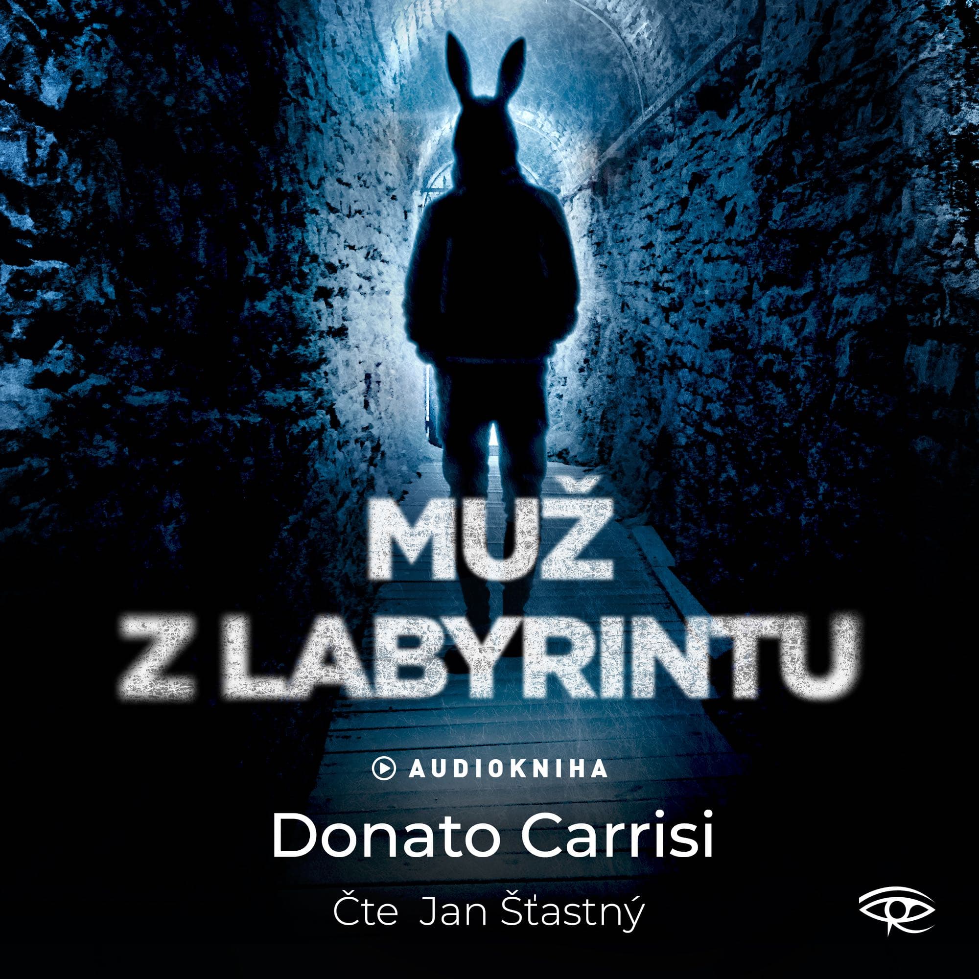 Obálka – Muž z labyrintu