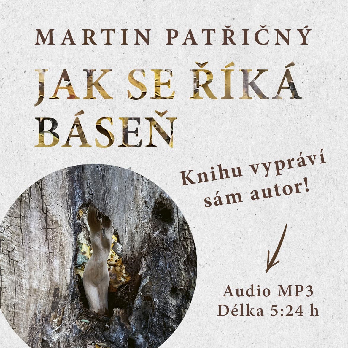 Obálka – Jak se říká báseň