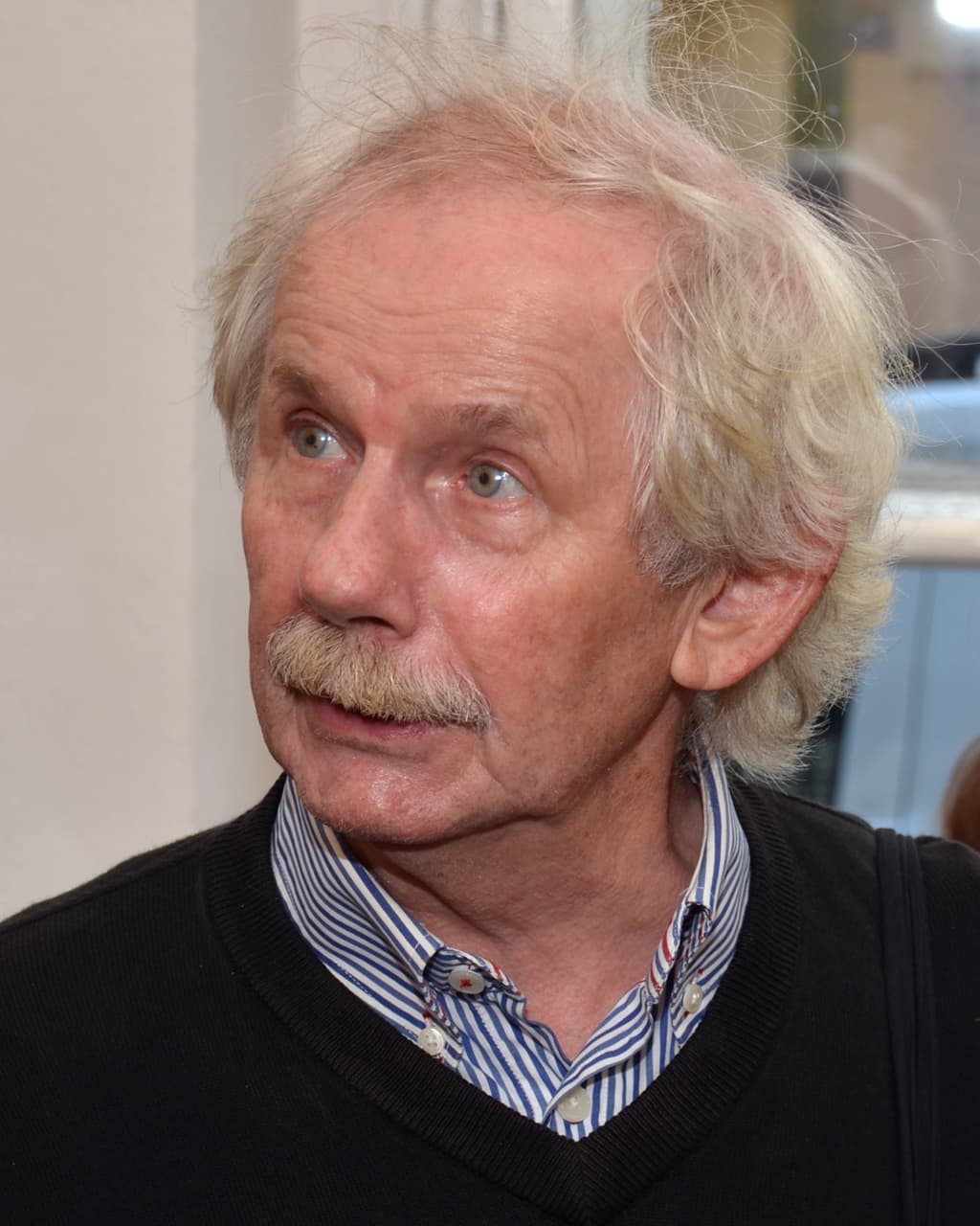 Portrét – Miloslav Topinka