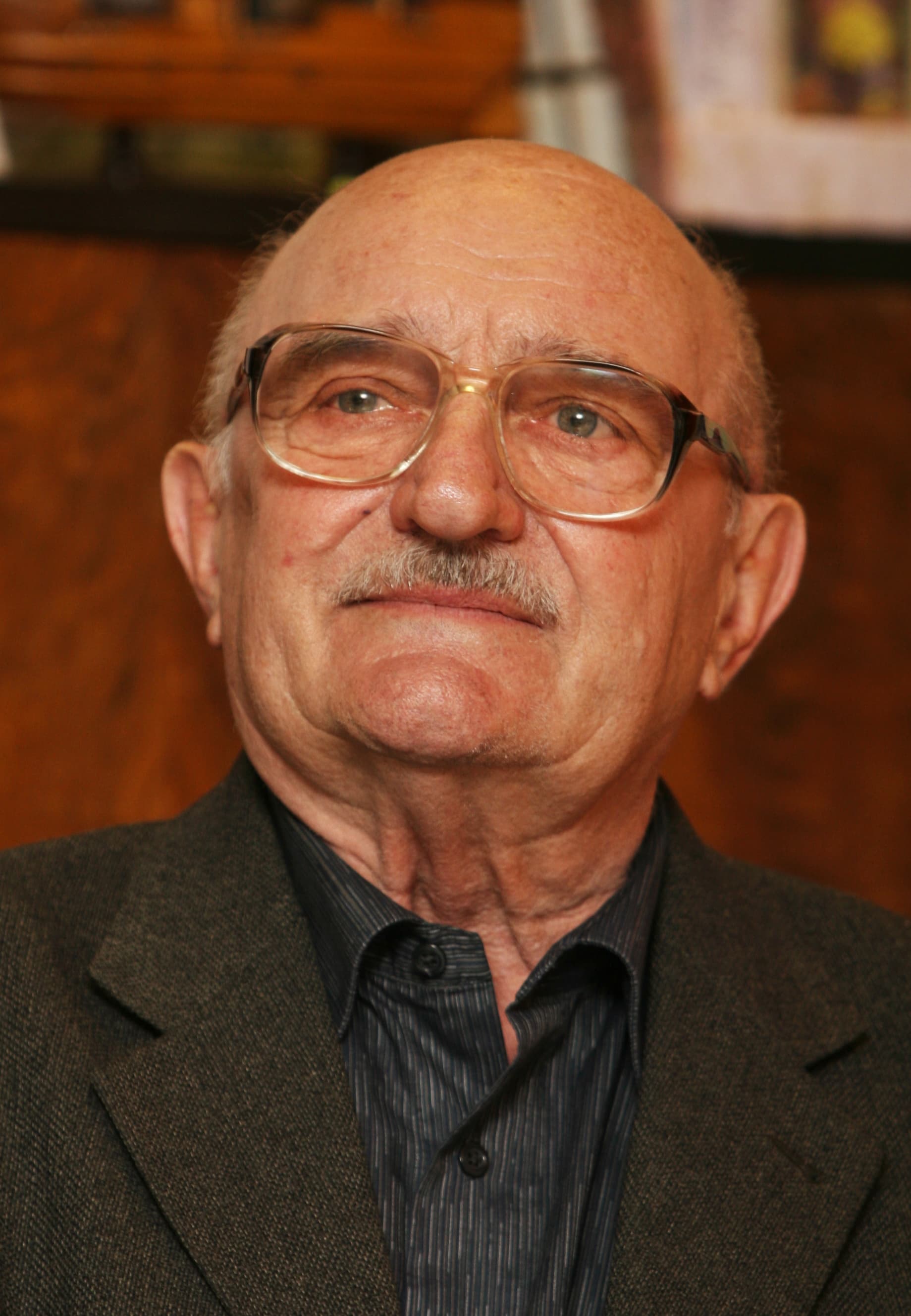 Portrét – Josef Somr