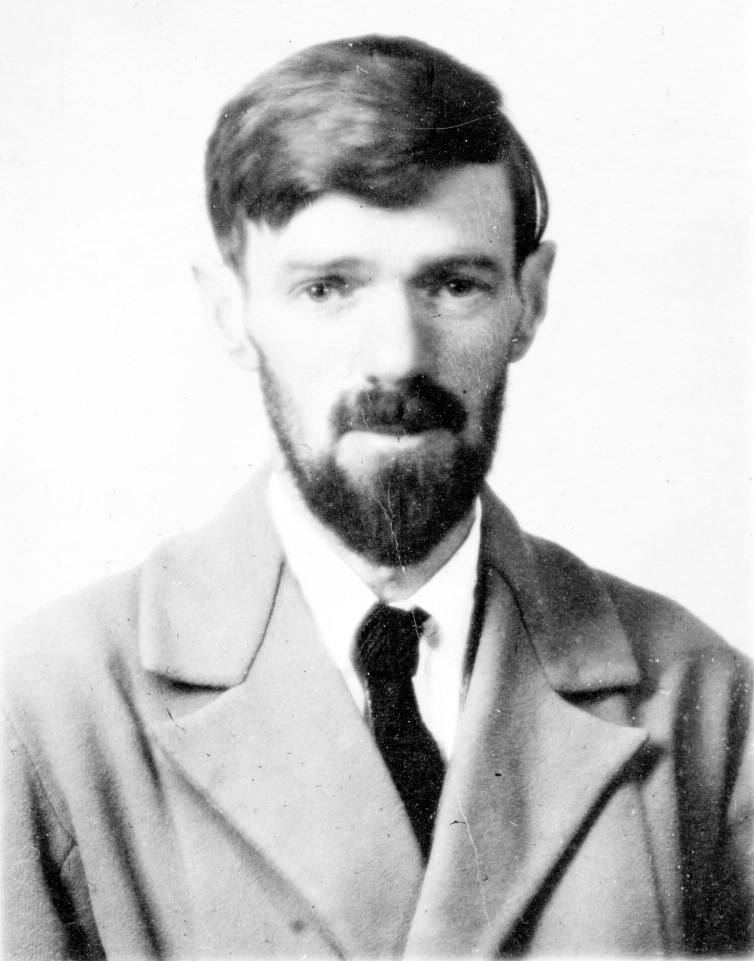Portrét – David Herbert Lawrence