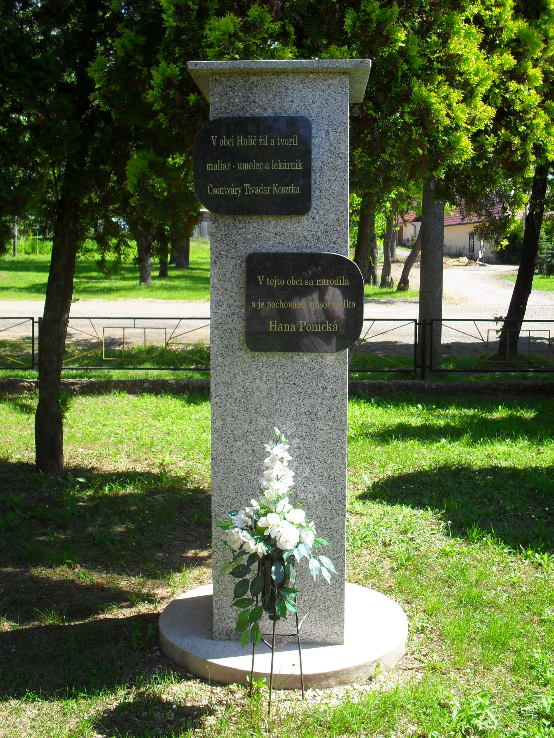 Portrét – Hana Ponická