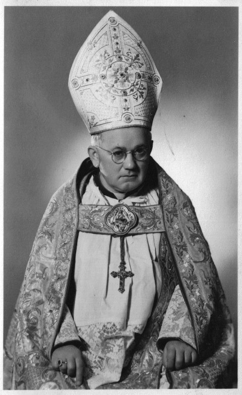 Portrét – Josef Karel Matocha