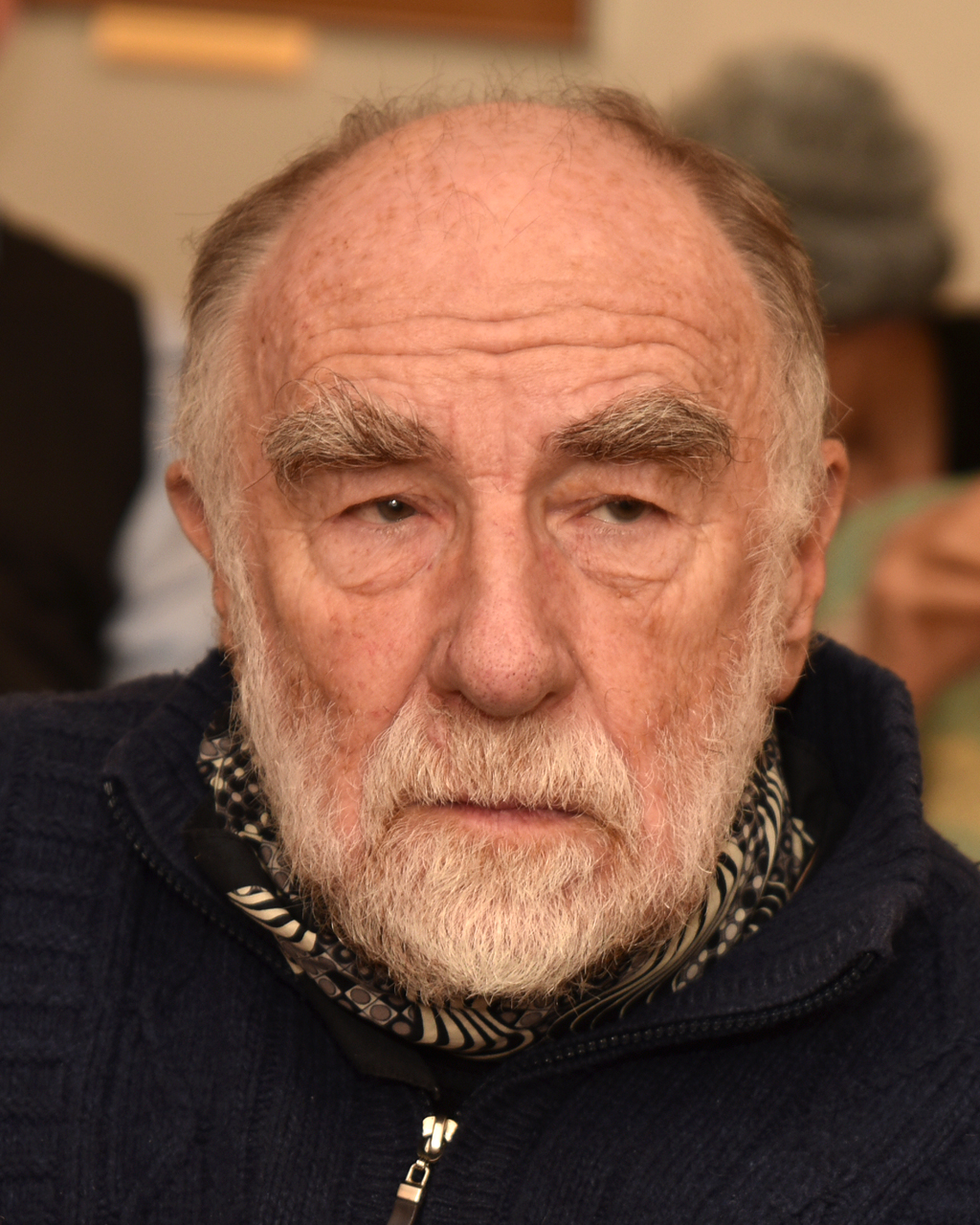 Portrét – Ivan Binar