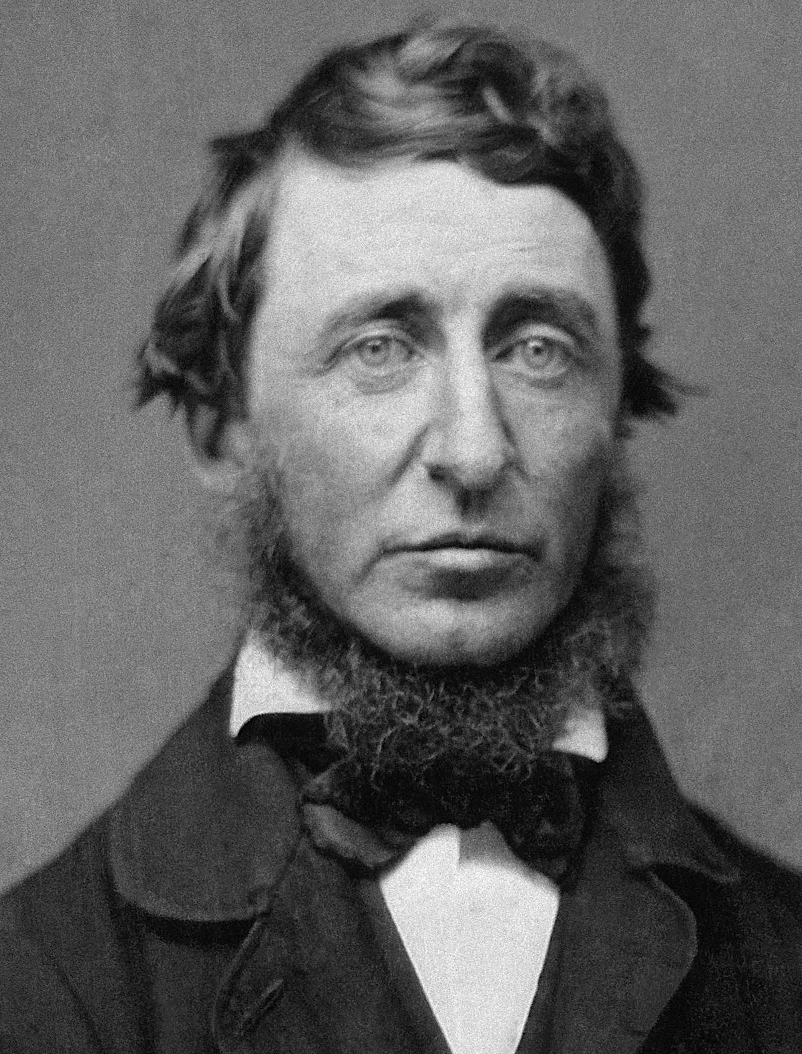 Portrét – Henry David Thoreau