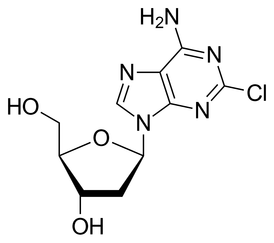 Portrét – 2 CD