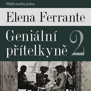 Obálka – Geniální přítelkyně 2 - Příběh nového jména - 2 (Čte Taťjána Medvecká)