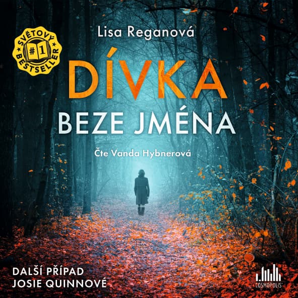 Obálka – Dívka beze jména