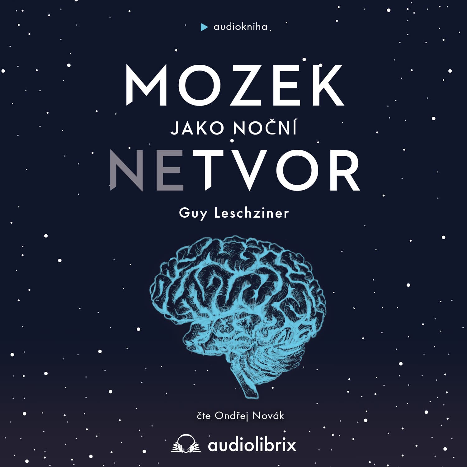Obálka – Mozek jako noční netvor