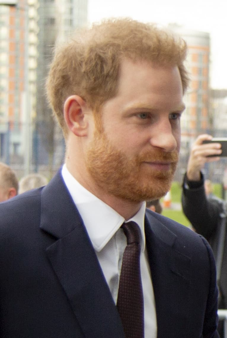 Portrét – Princ Harry