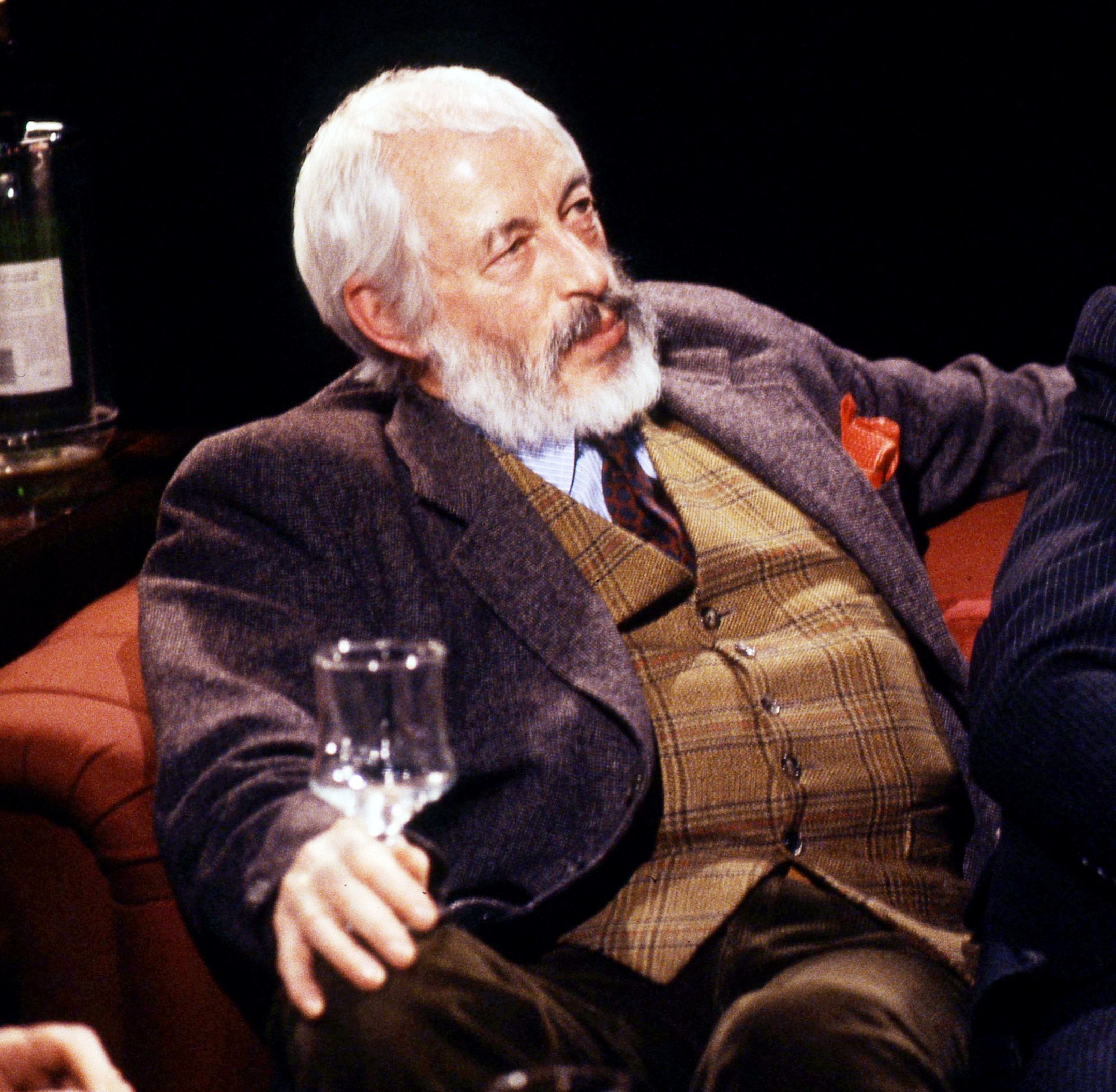 Portrét – James Patrick Donleavy