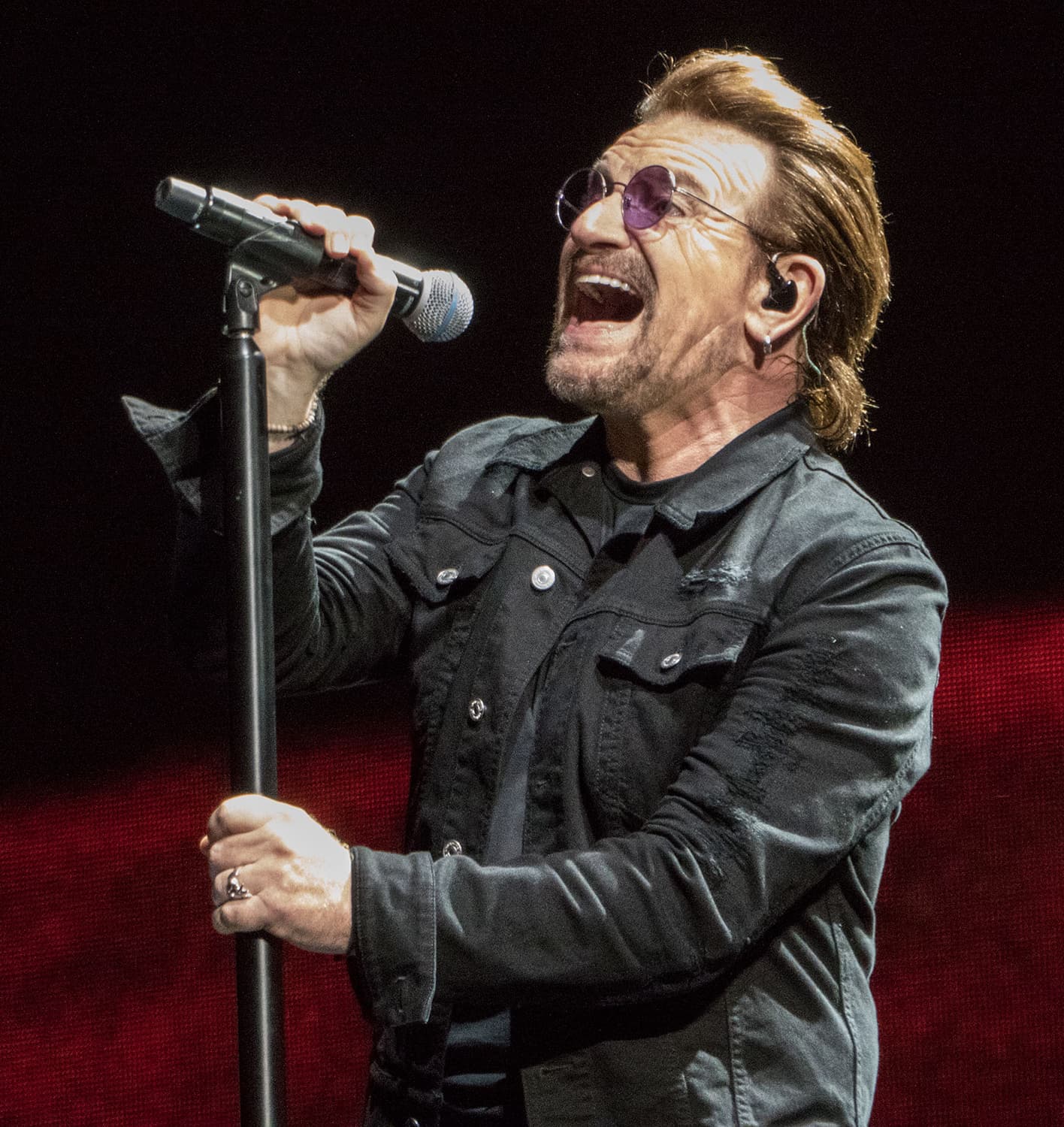 Portrét – Bono