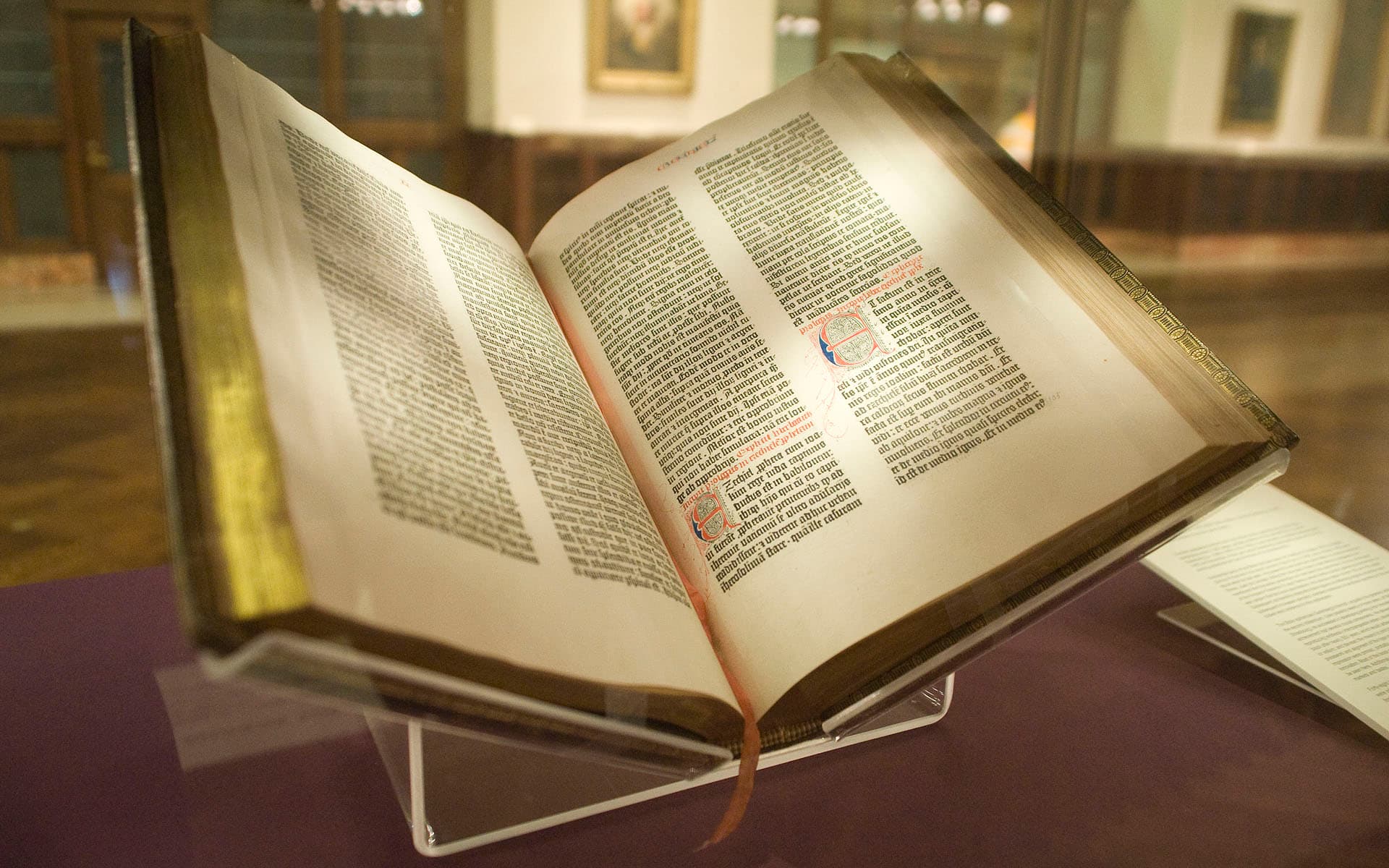 Portrét – Bible