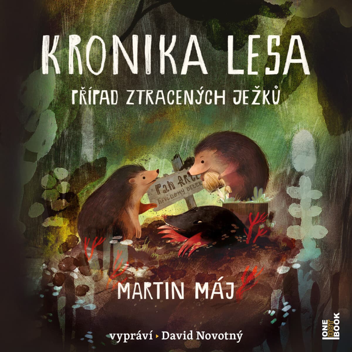 Obálka – Kronika lesa 1: Případ ztracených ježků