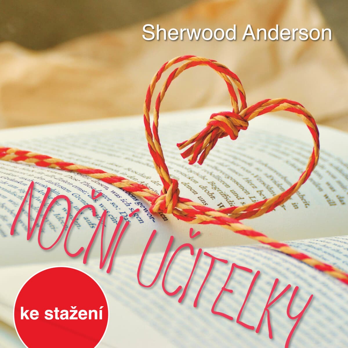 Obálka – Noční učitelky