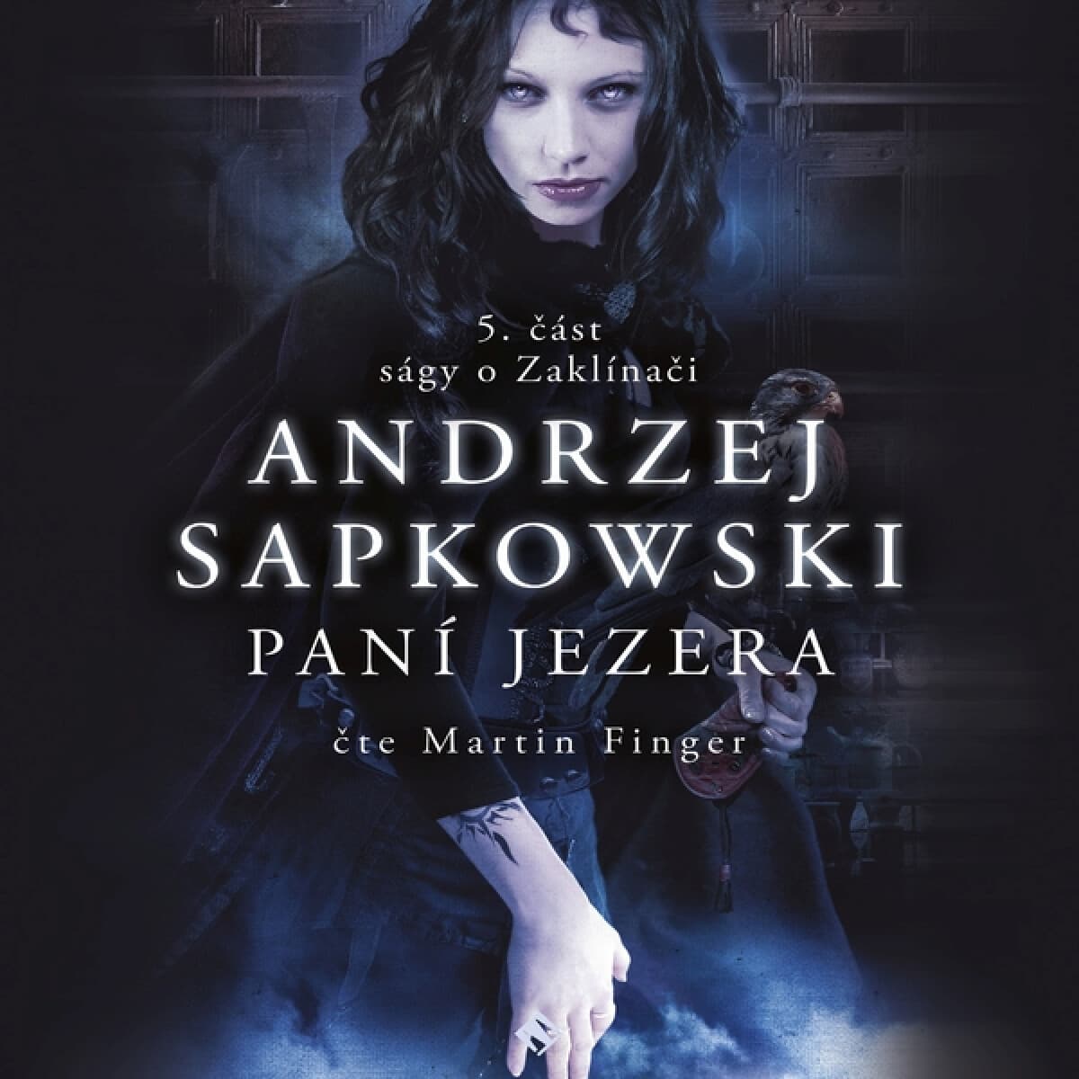 Obálka – Zaklínač VII: Paní jezera