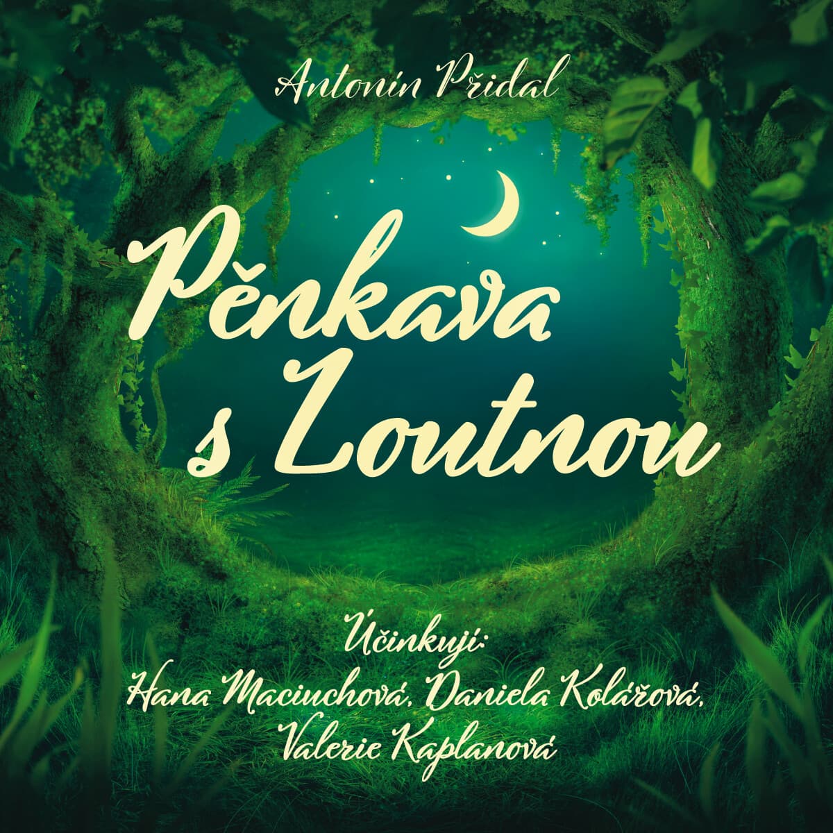 Obálka – Pěnkava s Loutnou