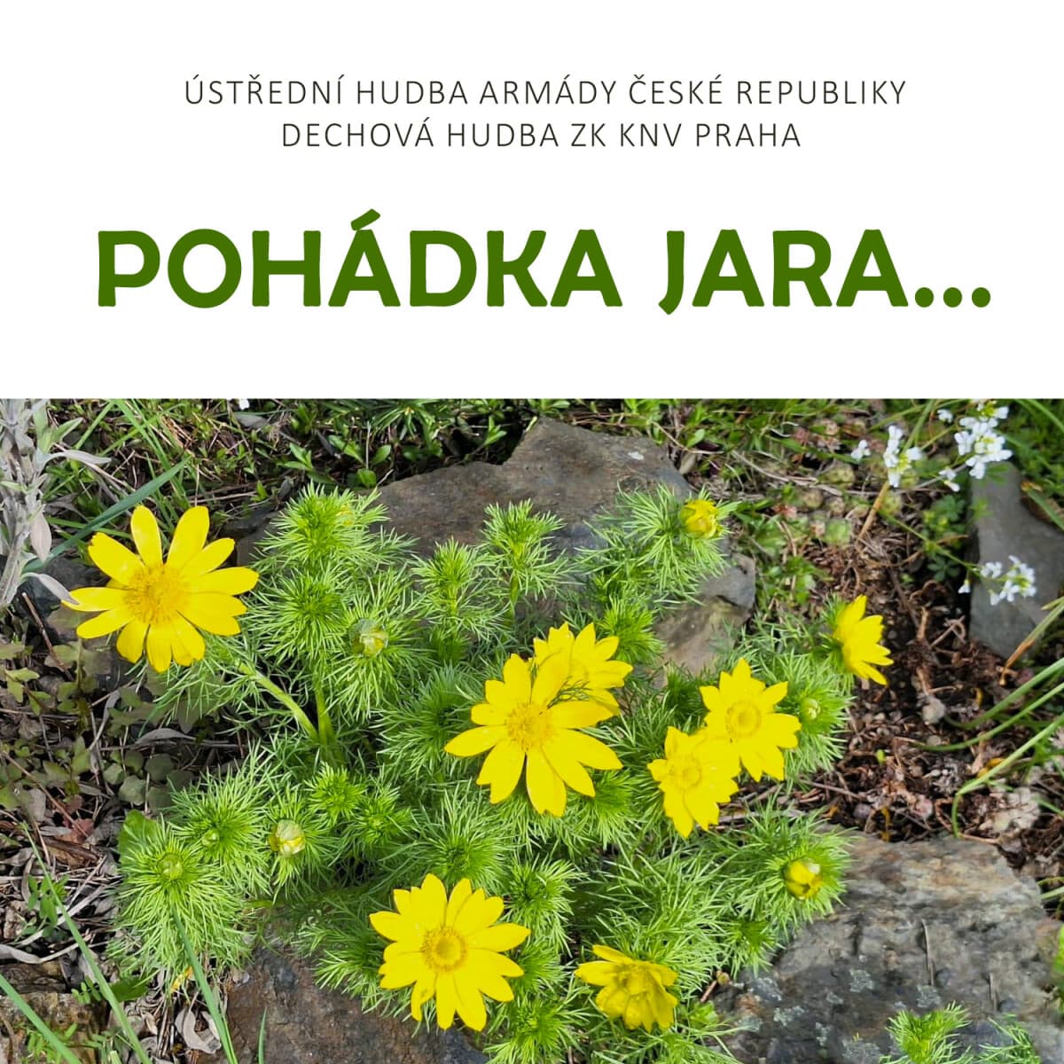 Obálka – Pohádka jara...