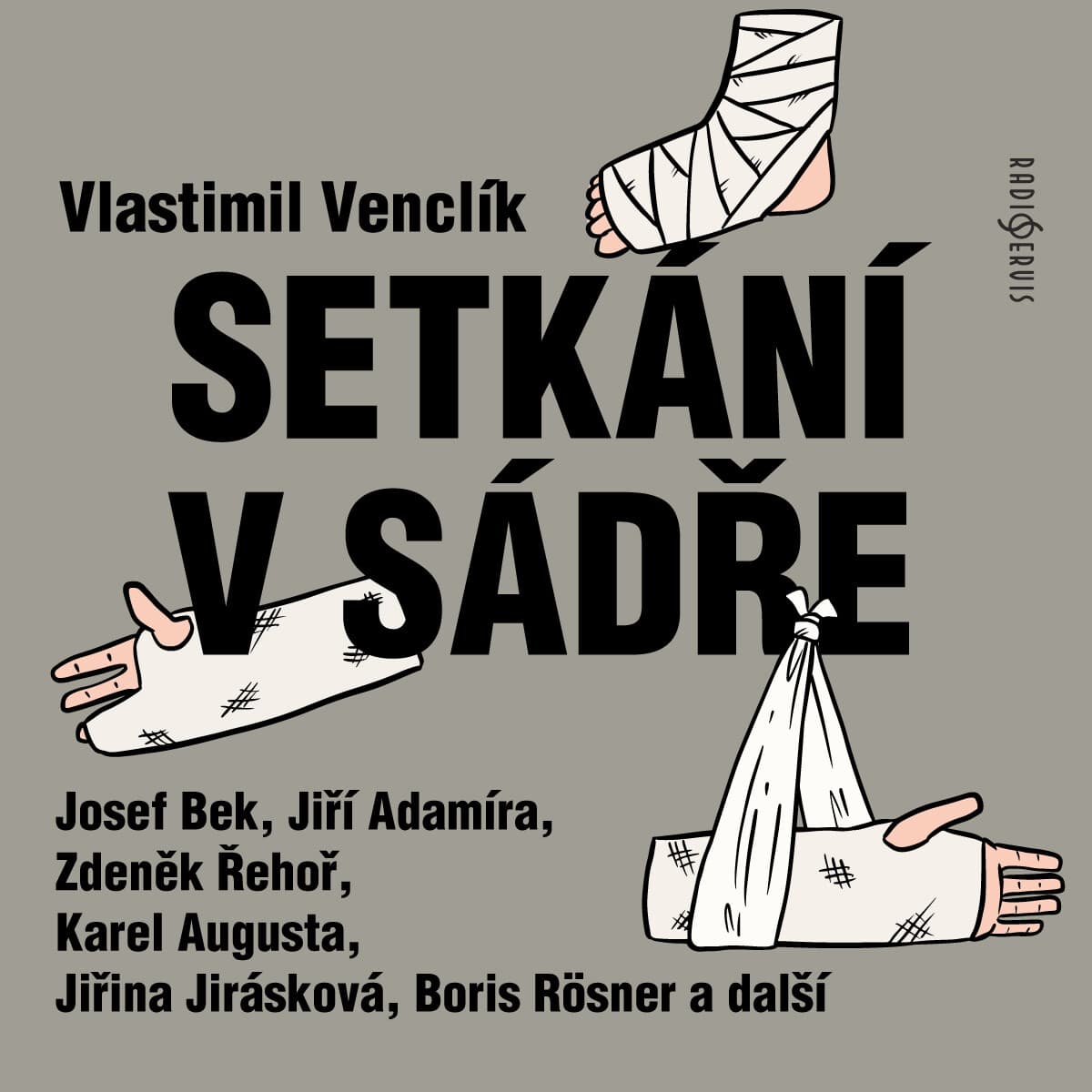 Obálka – Setkání v sádře