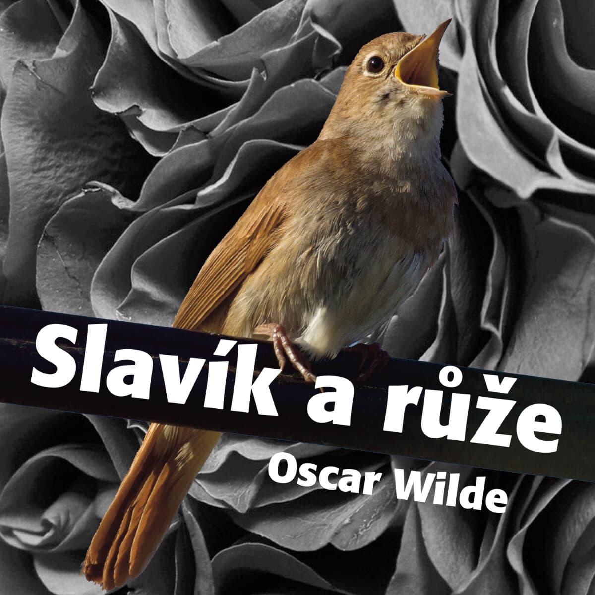 Obálka – Slavík a růže