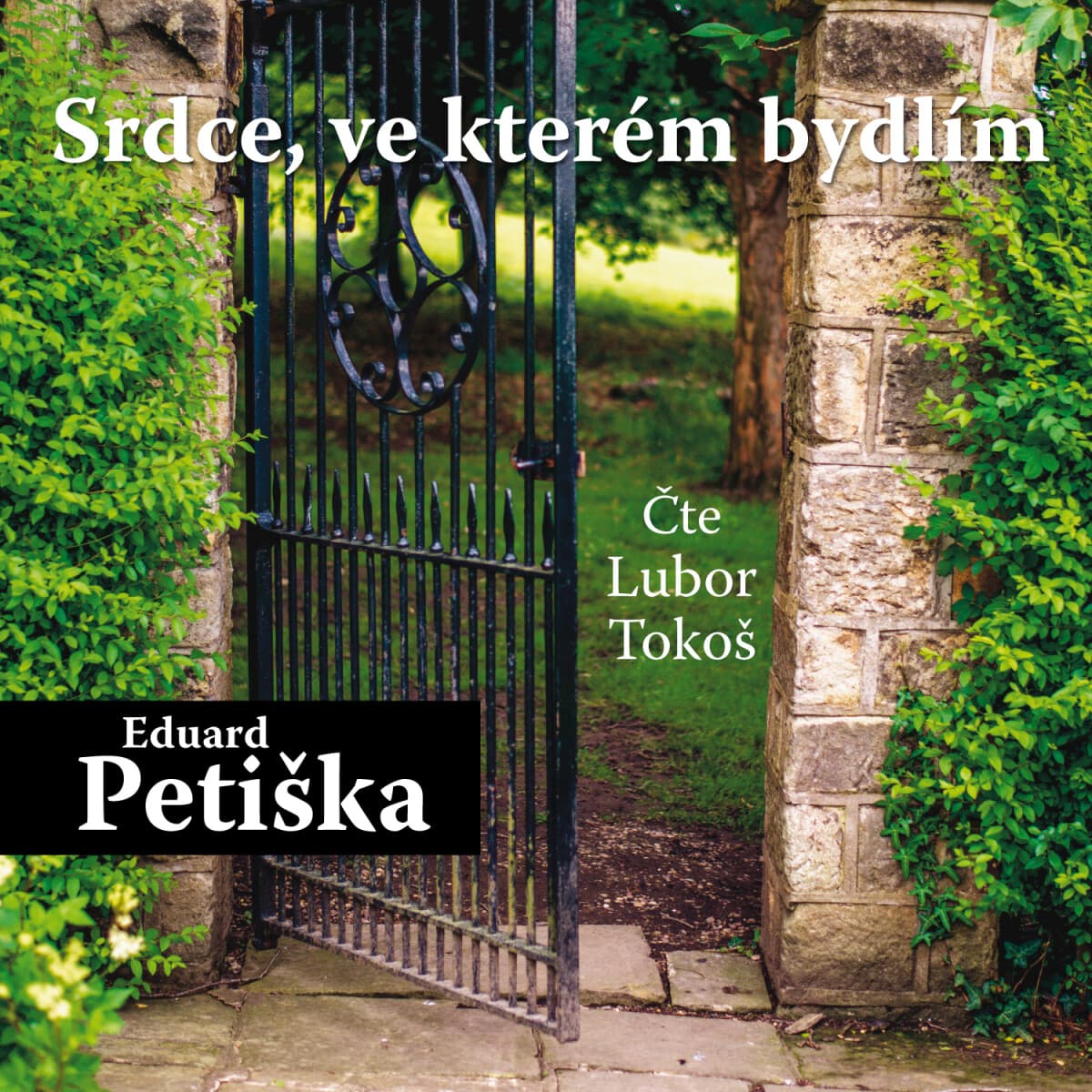 Obálka – Srdce, ve kterém bydlím