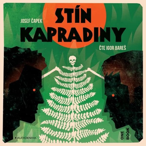 Obálka – Stín kapradiny