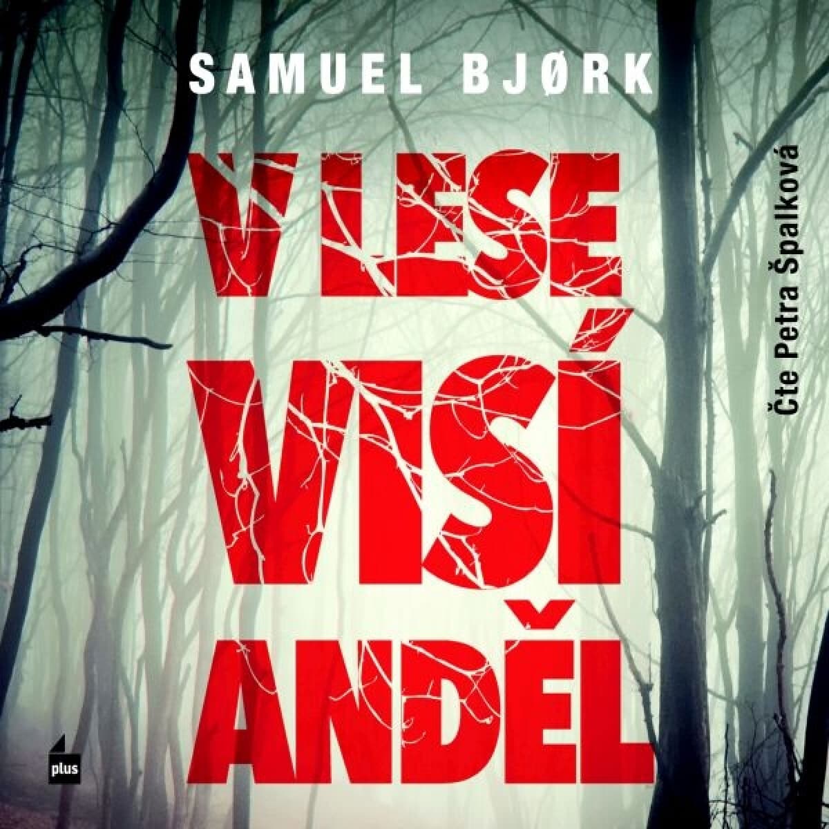 Obálka – V lese visí anděl