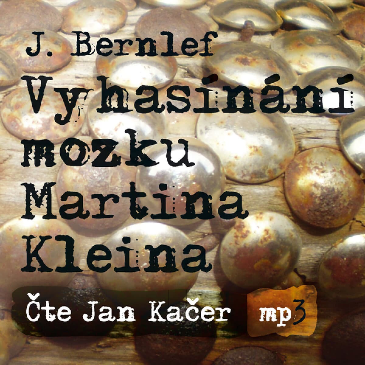 Obálka – Vyhasínání mozku Martina Kleina