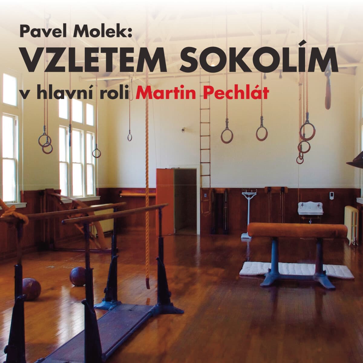 Obálka – Vzletem sokolím