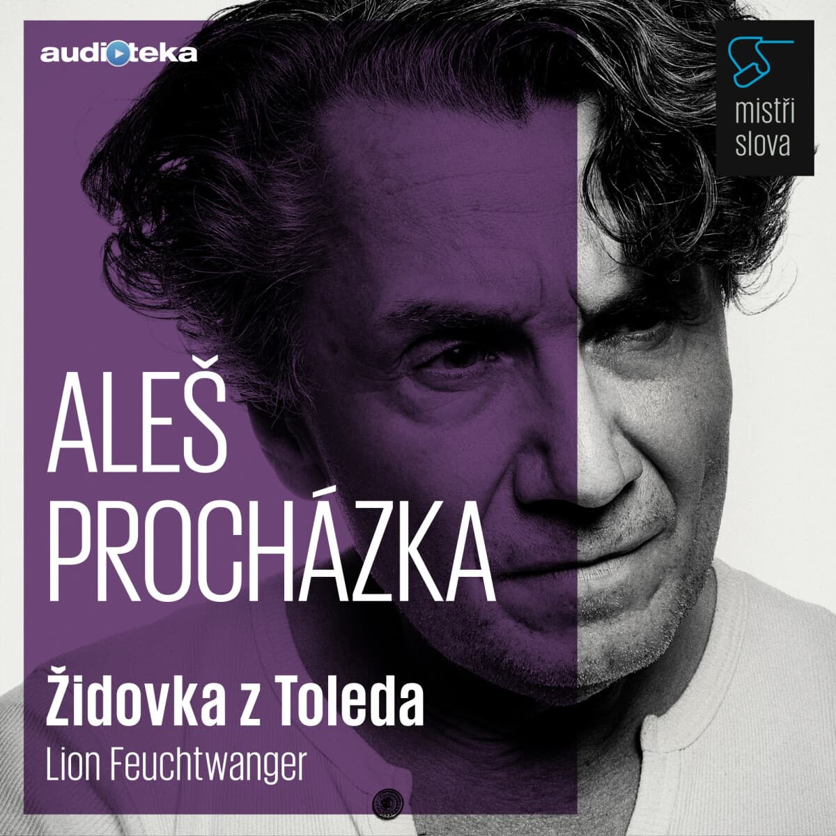 Obálka – Židovka z Toleda - Mistři slova