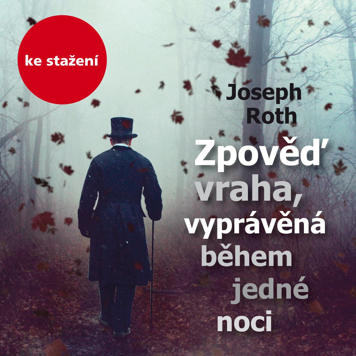 Obálka – Zpověď vraha, vyprávěná během jedné noci