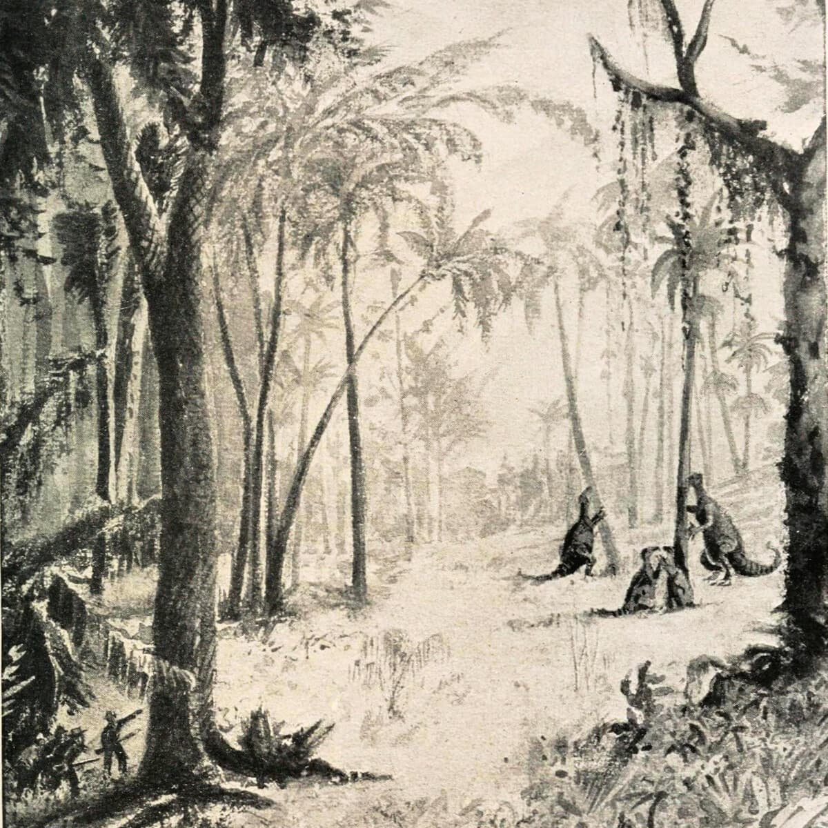 Obálka – Ztracený svět